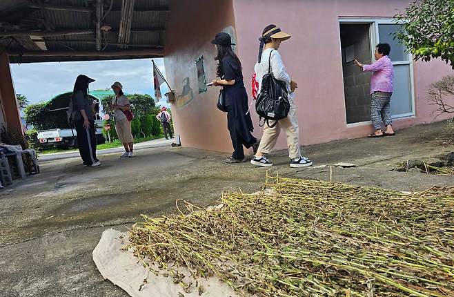 6일 제주시 조천읍 일대에서 진행된 '솔째기 제주와수다' 로컬여행 팸투어. ⓒ제주의소리