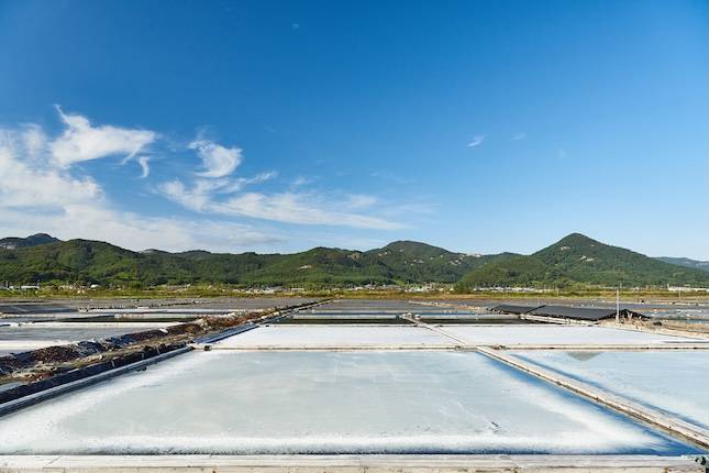 사진=아이클릭아트