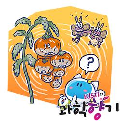 일러스트 이명헌 작가