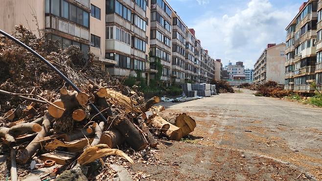건물 철거에 앞서 수목 제거 작업이  마무리된 제주 이도주공 2,3단지