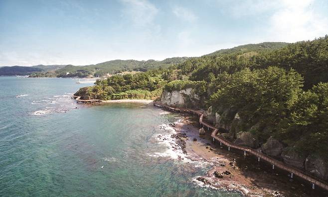 아름다운 호미반도 해안둘레길.