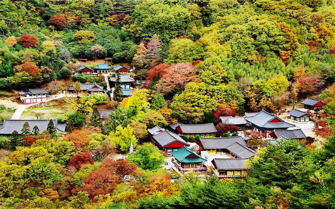 하동 쌍계사. 경남도청 제공