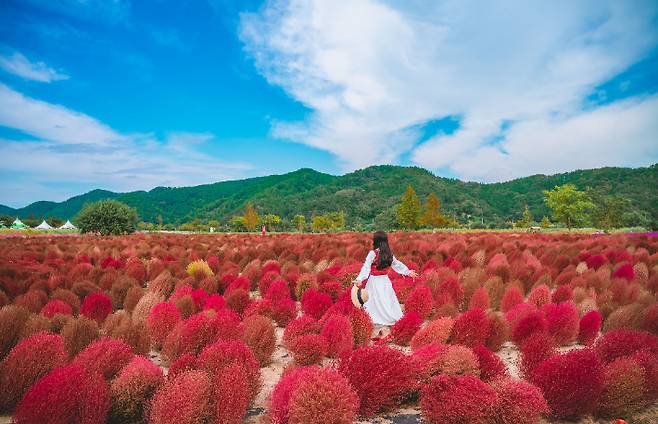 의령 호국의병의 숲. 경남도청 제공