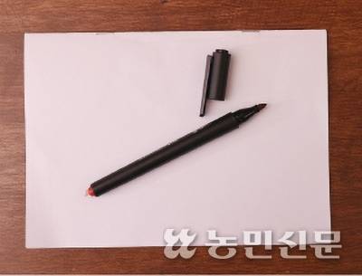 한쪽엔 칼, 다른 쪽엔 펜이 달렸다.