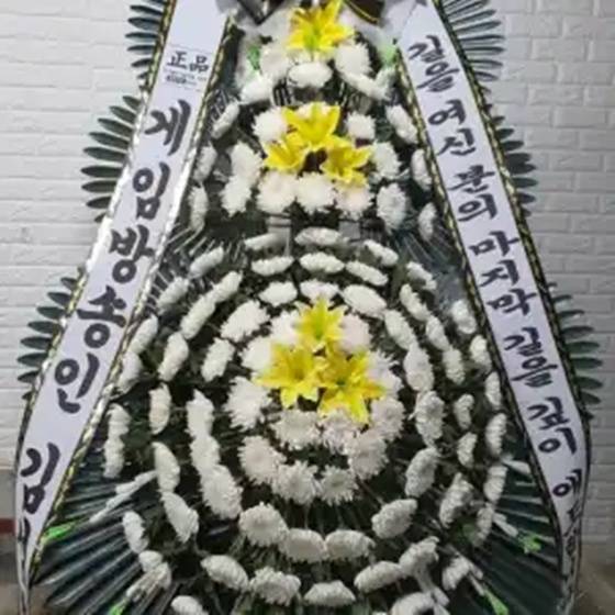 /사진=유튜브 채널 '김성회의 G식백과'