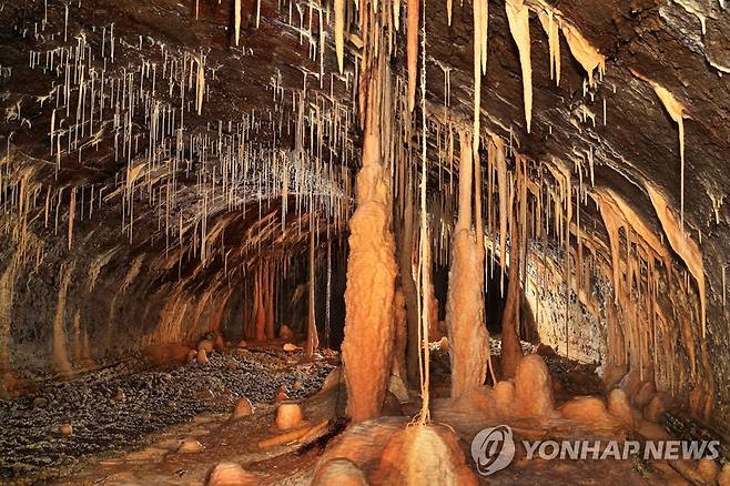 뒷난여 사구 영향으로 만들어진 당처물동굴 내 석회 생성물 [연합뉴스 자료 사진]