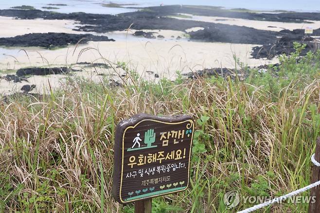 협재해수욕장 해안사구 보호지역 [촬영 고성식]