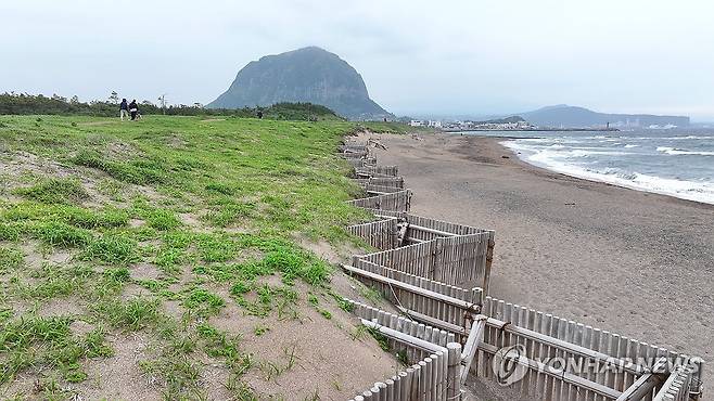 사계리 해안사구 모래 포집기 [연합뉴스 자료 사진]