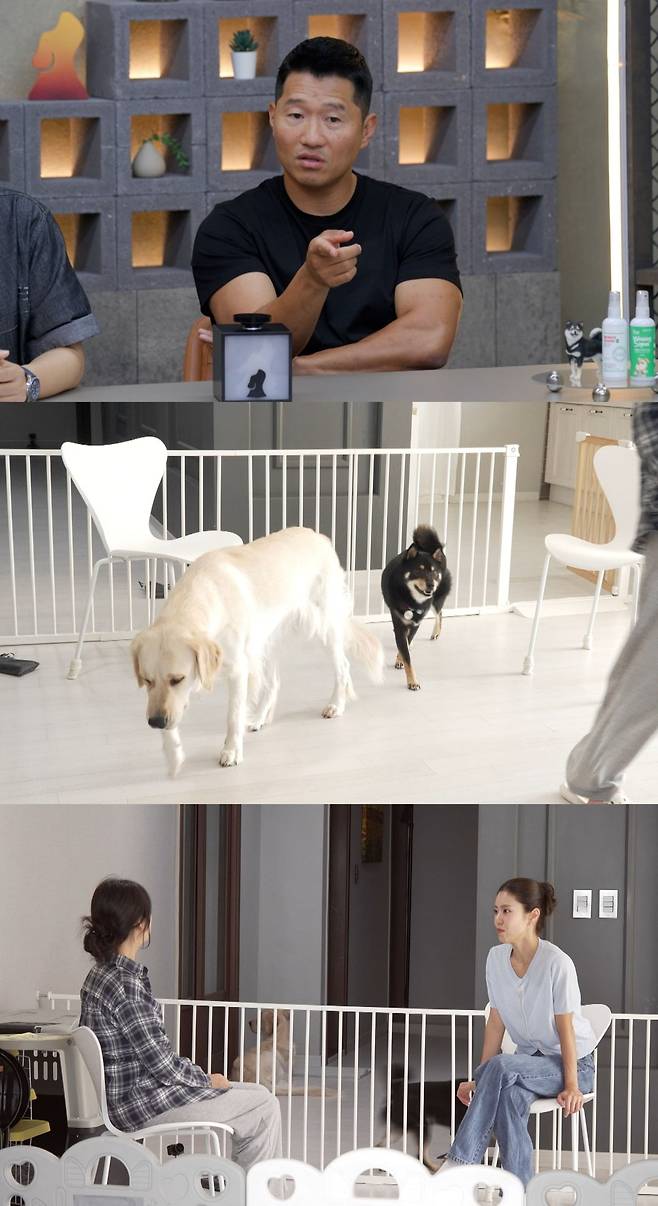 사진제공=채널A