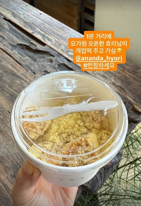 사진='아난다 효리' SNS