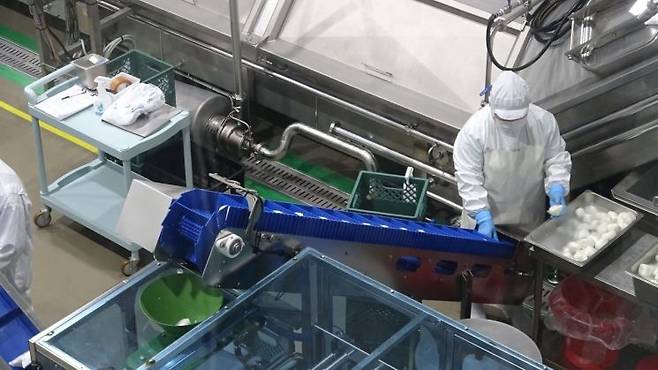 미스터밀크의 모짜렐라 생산설비. 미스터밀크는 성이시돌목장에서 100% 공급받은 원유로 치즈를 생산하고 있다.(사진제공= 농식품부 공동취재단)