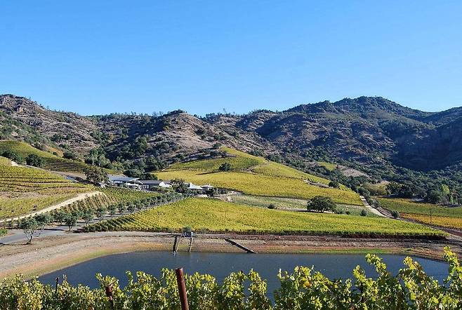 2022년 신세계그룹이 인수한 미국 캘리포니아 나파밸리 와이너리 '쉐이퍼 빈야드' 전경. / 쉐이퍼 빈야드 제공