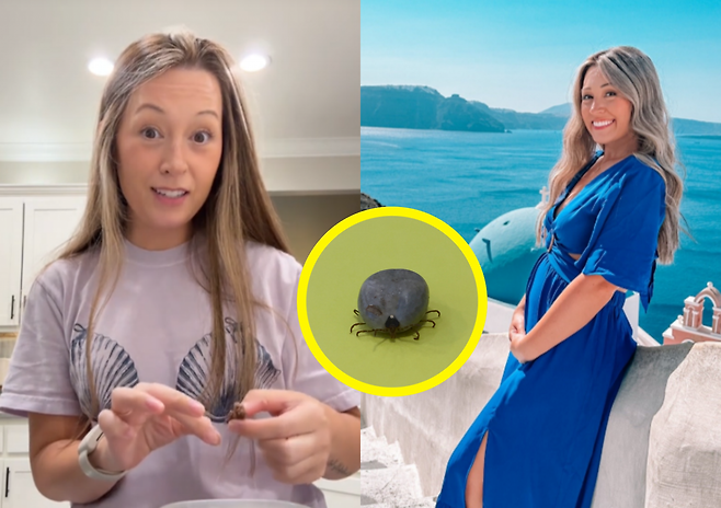 미국 아칸소의 데이지 홀스타인(36)은 진드기에 물린 뒤 고기와 유제품을 먹을 수 없는 ‘알파갤 증후군’ 진단을 받았다. 그는 챗GPT가 제안한 식단으로 증상이 완화되며 채식주의 생활을 이어가고 있다. (사진=틱톡, 게티이미지)