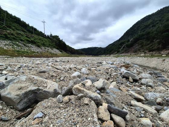 지난 7일 강원 강릉시 주요 상수원인 오봉저수지 상류가 극한 가뭄 속 바닥을 드러내고 있다. [연합뉴스]