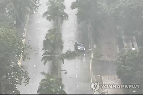 ▲ 중국 남부 덮친 태풍 타파 [AP 연합뉴스 자료사진]