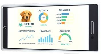 사진제공=데이터플레이랩스