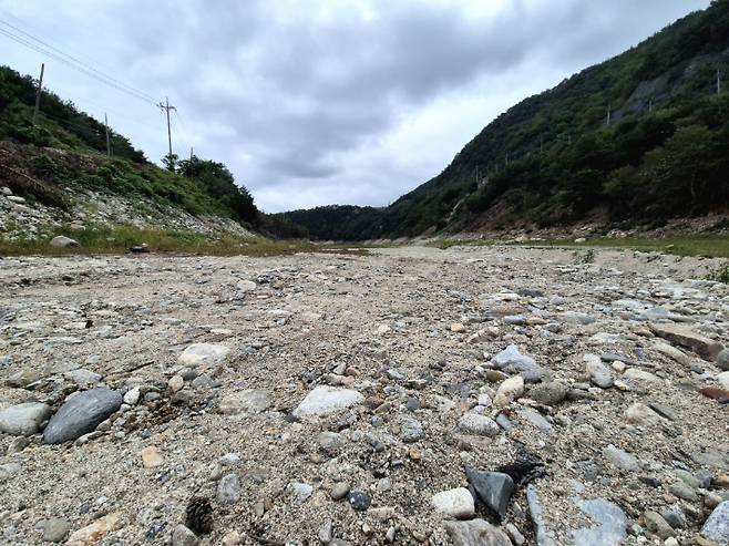 강원 강릉시 주요 상수원인 오봉저수지 상류가 극한 가뭄에 바닥을 드러내고 있다. 연합뉴스
