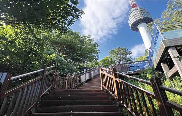 서울 남산에 새로 생긴 북측숲길. 사진 서울시.