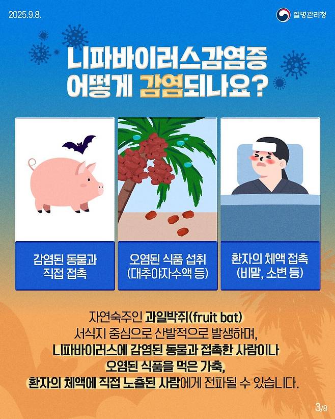 사진=질병관리청 제공