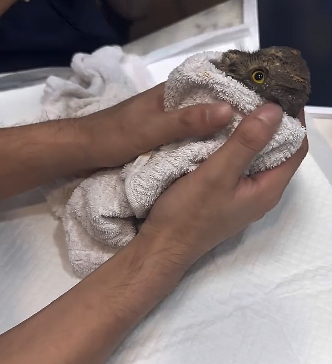 홍진영 SNS 캡처