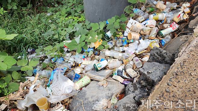 각종 쓰레기가 버려진 모습. ⓒ제주의소리