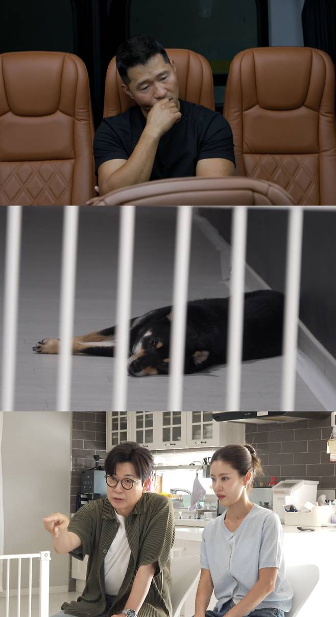 ‘개와 늑대의 시간’ 강형욱 솔루션 포기? (제공: 채널A)