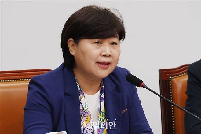 서영교 더불어민주당 의원 ⓒ데일리안 홍금표 기자