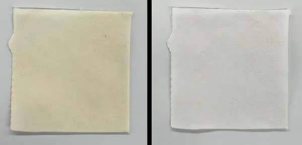 파란색 LED 조명 10분 쬔 후 얼룩 전후 사진/사진=국제학술지 ACS