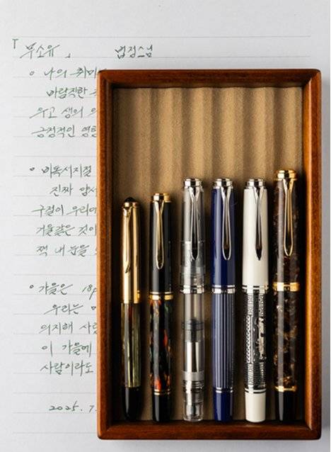 펠리칸의 만년필로 ‘빈티지 500NN’부터 ‘M1000 르네상스 브라운’까지 종류가 다양하다. 숫자가 높을수록 펜과 촉의 크기가 커진다.&nbsp;