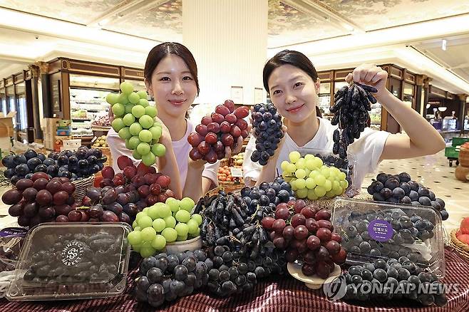 신세계백화점, '포도의 신세계' 행사 개최 [신세계백화점 제공. 재판매 및 DB 금지] photo@yna.co.kr