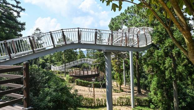 숲 위를 거니는 특별한 회의·체험 공간. 장흥 정남진 편백숲 우드랜드 ‘말레길 하늘다리’. /최현배 기자