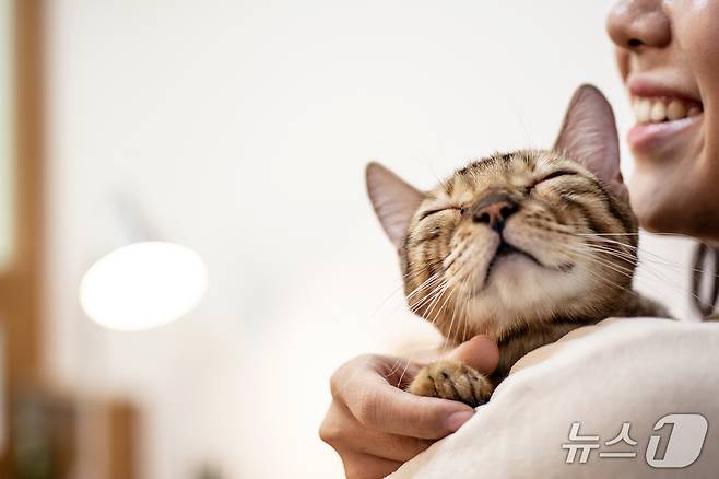 고양이와 보호자(사진 이미지투데이) ⓒ 뉴스1