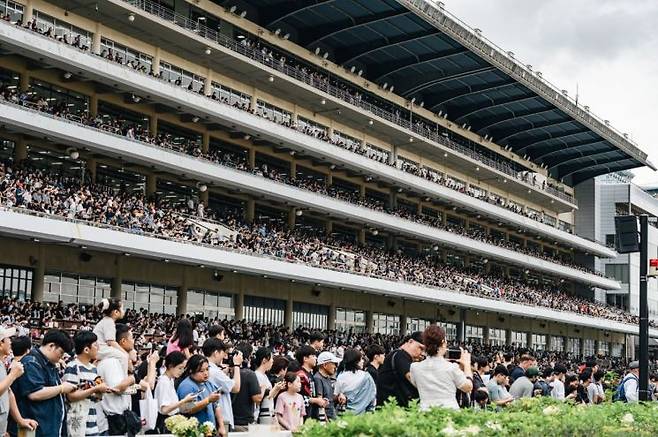 2만8000명의 관중들이 지난 7일 렛츠런파크 서울에서 열린 'OBS 코리아컵'을 직관하고 있다.(사진제공= 마사회)
