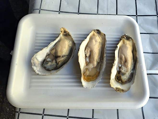 7fed8273b58b68fe51ee86e44e847073534f5be7563e18c1781e322550565314