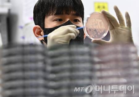 경기 수원시 권선구 경기도보건환경연구원에서 연구원이 식중독균 배양분리작업을 하고 있다./사진=[수원=뉴시스] 김종택 기자