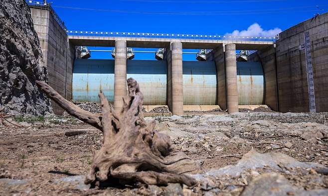 10일 오후 강원 강릉시 오봉저수지가 바짝 말라붙어 바닥을 드러내고 있다.   최악의 가뭄 사태를 맞고 있는 강릉지역의 지역 식수 87%를 담당하는 오봉저수지의?저수율은 이날 오전 9시 기준 12.0%로(평년 70.9%) 전날 동시간 대 확인된 저수율 12.3%보다 0.3%p 더 낮은 수치다. 2025.9.10/뉴스1  Copyright (C) 뉴스1. All rights reserved. 무단 전재 및 재배포,  AI학습 이용 금지. /사진=뉴스1