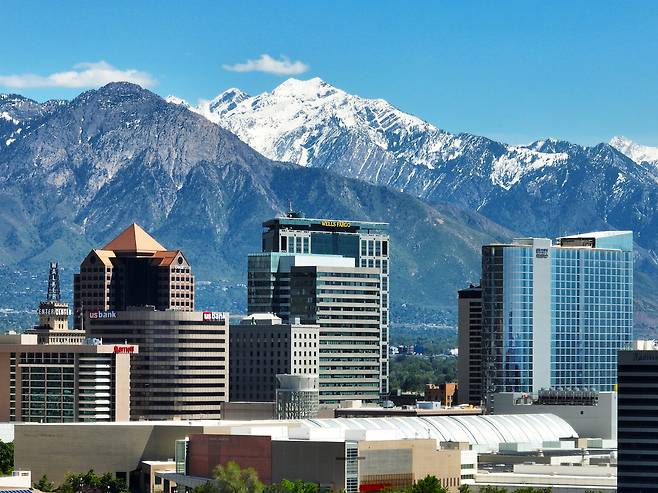 친근해진 호칭 그 이름 “솔렉”