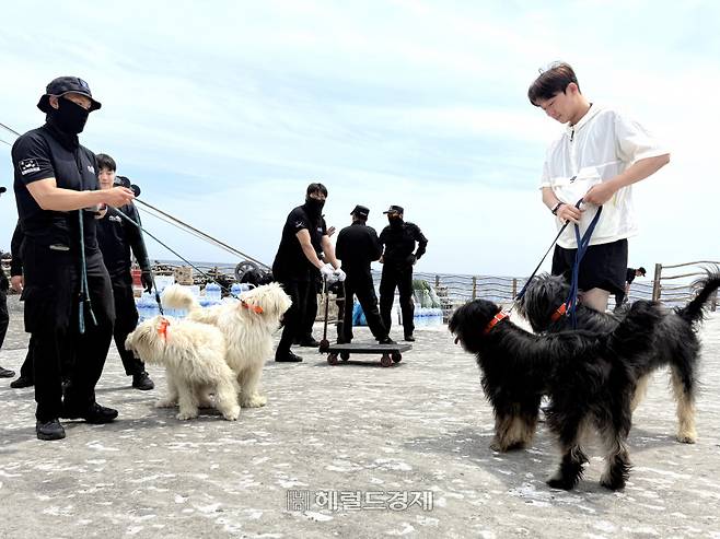 ����6�� 12�� ������Ŵ�� ��찳 ������ �������� 10�� �츮������ ������ 11�� ����������[(��) �ѱ���찳 ��� Ȩ������]