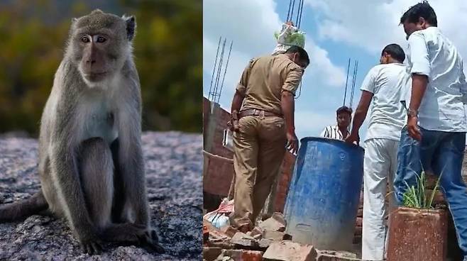 기사 이해를 돕기 위한 자료 사진 [출처= 인디아TV]