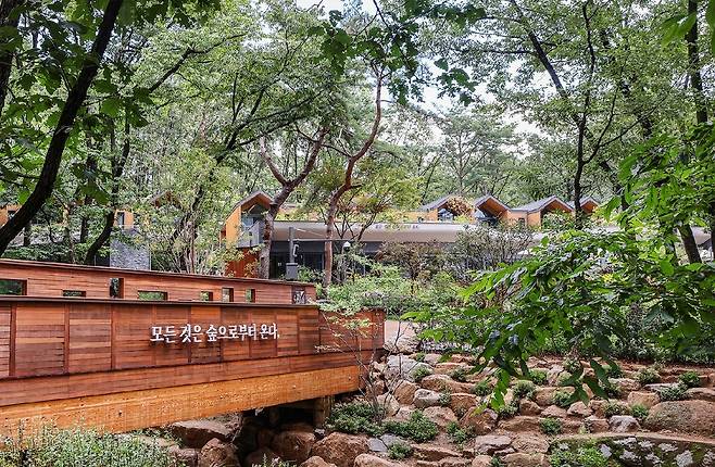 트리하우스와 본동을 잇는 다리 [사진/임헌정 기자]