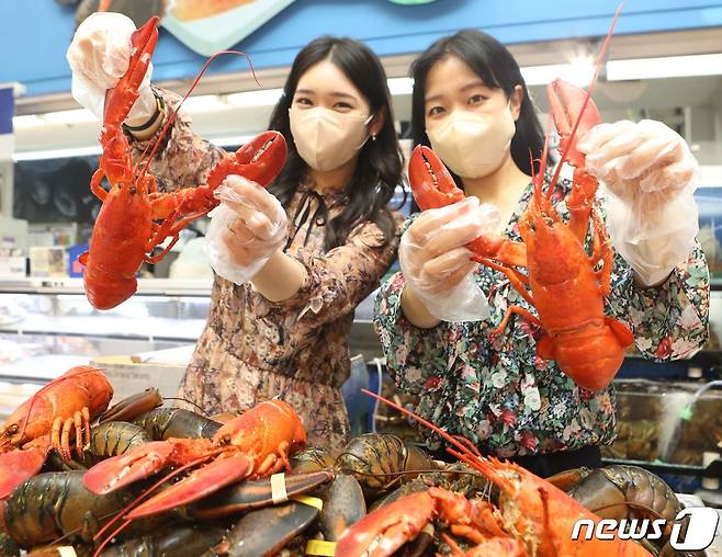 랍스터. (롯데쇼핑 제공)