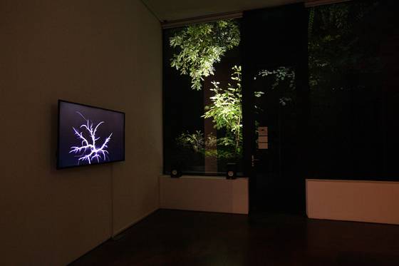 Kwak So-jin's works are on display at the "off-site 2: Eleven Episodes" exhibit [ART SONJE CENTER]