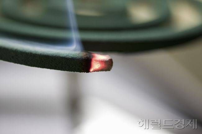 모기향이 타는 모습.[헤럴드DB]