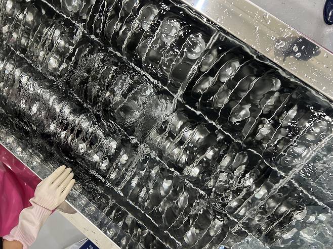 경북안동지역자활센터의&nbsp;자활사업단 '에코워싱 안동'이 진행하는&nbsp;보육시설 식판세척 시범사업 현장 ⓒ안동시