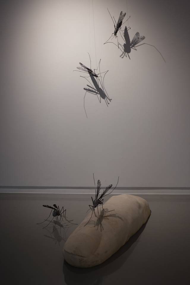 특정 신체 부위가 모기에 물렸을 때의 작은 성가심을 표현한 작품들이 익살스럽다.