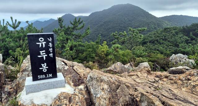 낙동정맥인 유두봉에서 바라본 백양산.