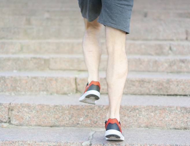 자료사진 출처=픽사베이