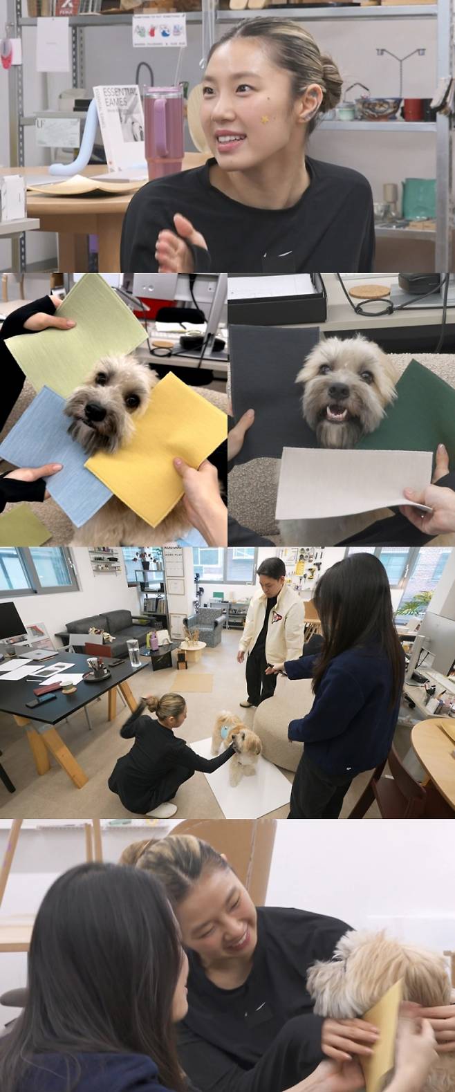 MBC ‘나 혼자 산다’(나혼산)에서 리정이 반려견 두두를 위해 맞춤형 ‘두두 베드’ 제작에 도전한다. 지난 방송에서 이니셜 ‘LJ’를 반영한 리정 소파를 제작해 화제를 모았던 리정은 가구 디자이너와 함께 두두의 크기·습관·털색을 고려한 디자인 아이디어를 나누었다. 컬러 원단 앞에 두두를 앉혀 퍼스널 컬러 진단을 하는 모습도 담겼다. 산책과 일상 속 두두와의 특별한 교감, 가구에 투영된 애정이 무지개 회원 및 시청자의 공감을 얻는다. 맞춤형 베드 제작 현장은 9월 12일 밤 11시 10분 MBC ‘나 혼자 산다’에서 공개된다.