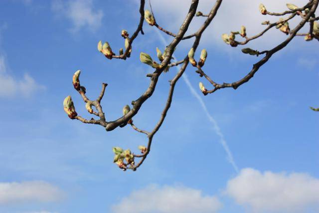 게티이미지뱅크