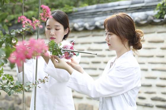 궁궐 꽃나무서 향을 포집하는 코스맥스 연구원들. [사진 각사]